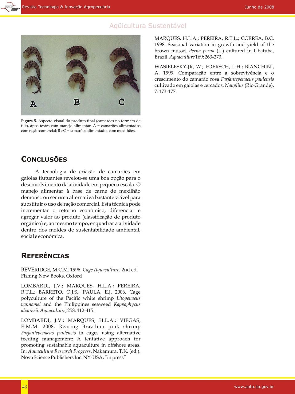 Nauplius (Rio Grande), 7: 173-177. Figura 5. Aspecto visual do produto final (camarões no formato de filé), após testes com manejo alimentar.