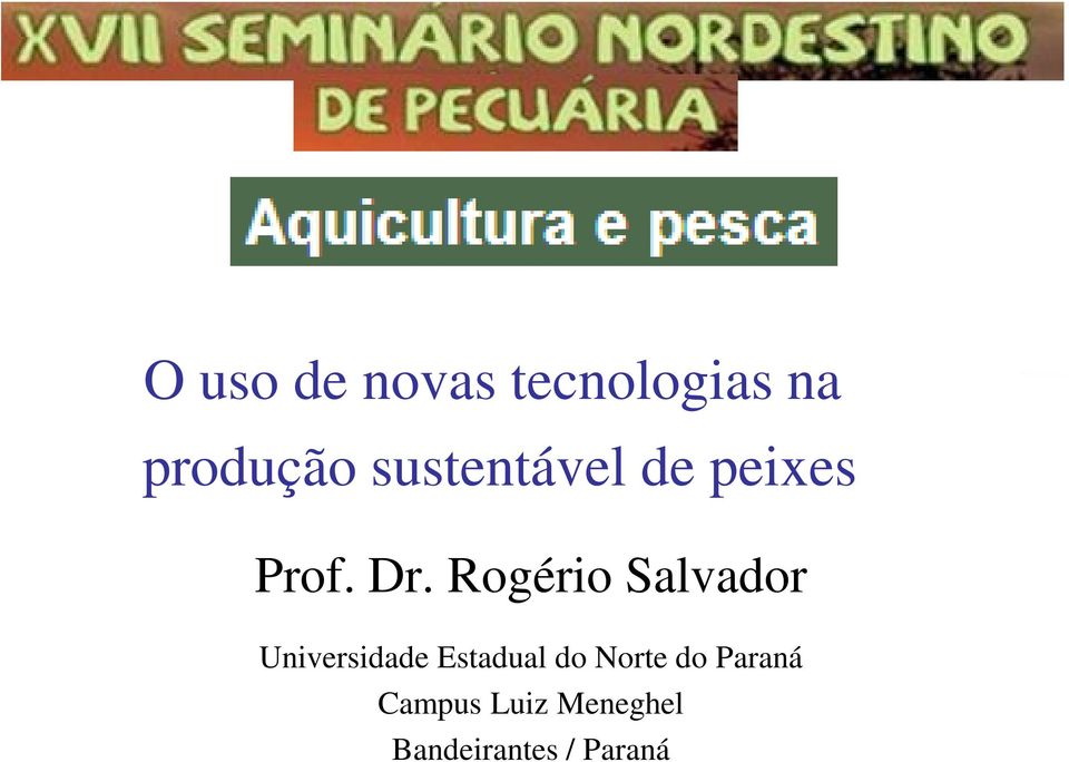 Rogério Salvador Universidade Estadual do