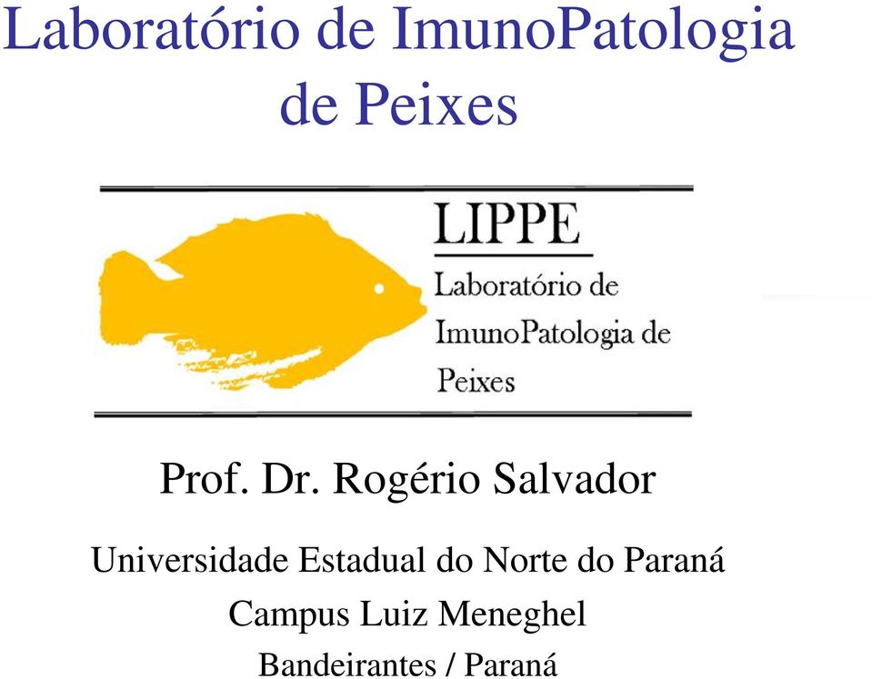 Rogério Salvador Universidade