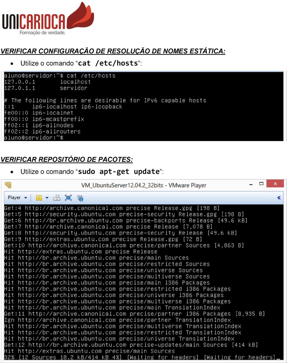 /etc/hosts : VERIFICAR REPOSITÓRIO DE