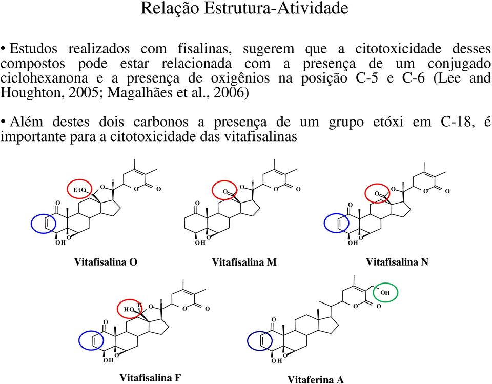 Houghton, 2005; Magalhães et al.