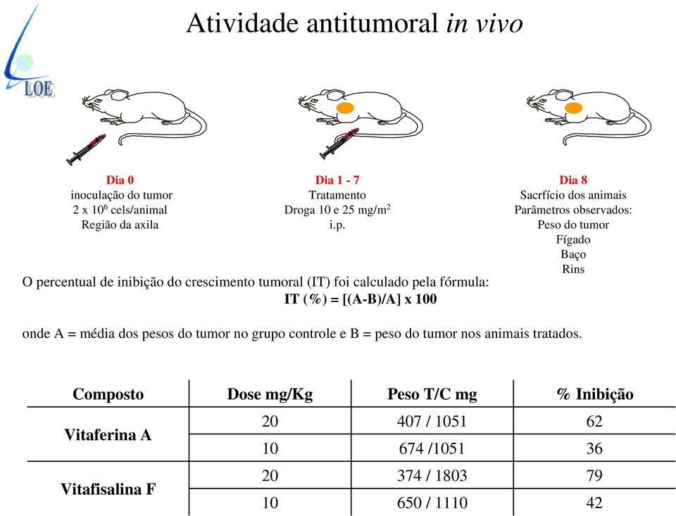 Parâmetros observados: Peso do tumor Fígado Baço Rins onde A = média dos pesos do tumor no grupo controle e B = peso do tumor nos animais