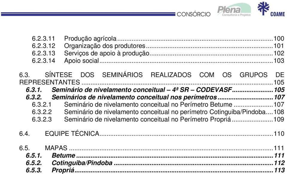 ..107 6.3.2.2 Seminário de nivelamento conceitual no perímetro Cotinguiba/Pindoba...108 6.3.2.3 Seminário de nivelamento conceitual no Perímetro Propriá...109 6.4.