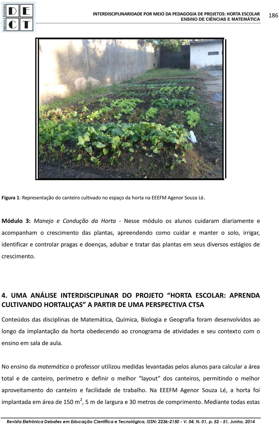 pragas e doenças, adubar e tratar das plantas em seus diversos estágios de crescimento. 4.