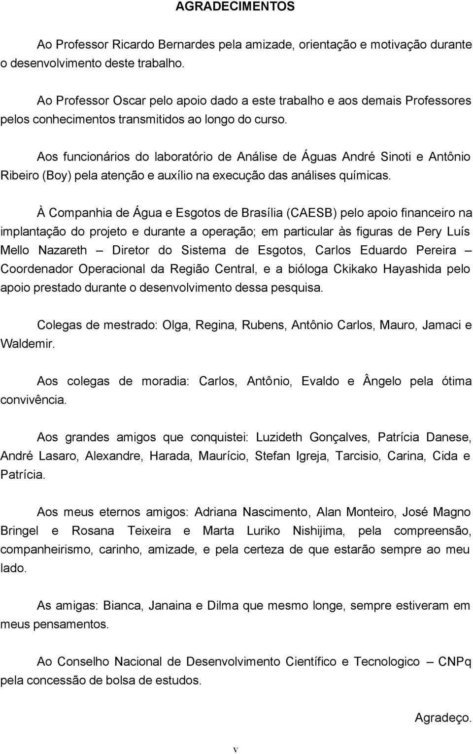 Aos funcionários do laboratório de Análise de Águas André Sinoti e Antônio Ribeiro (Boy) pela atenção e auxílio na execução das análises químicas.