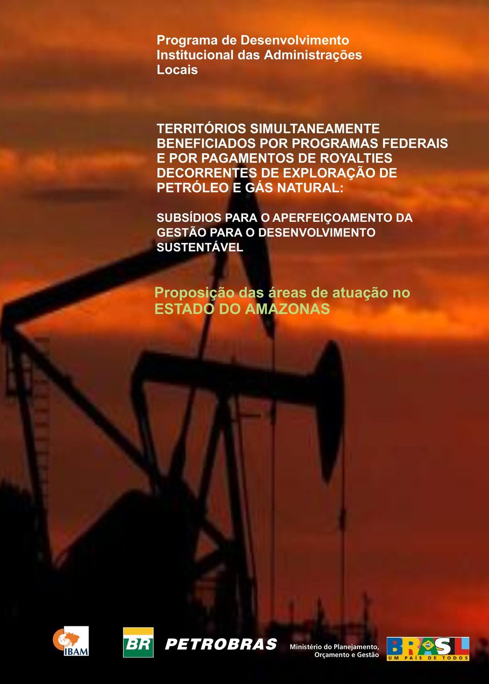 PETRÓLEO E GÁS NATURAL: SUBSÍDIOS PARA O APERFEIÇOAMENTO DA GESTÃO PARA O DESENVOLVIMENTO