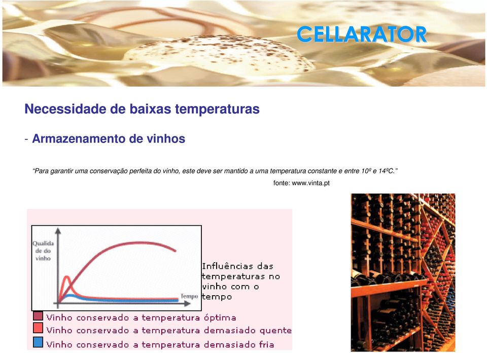 conservação perfeita do vinho, este deve ser