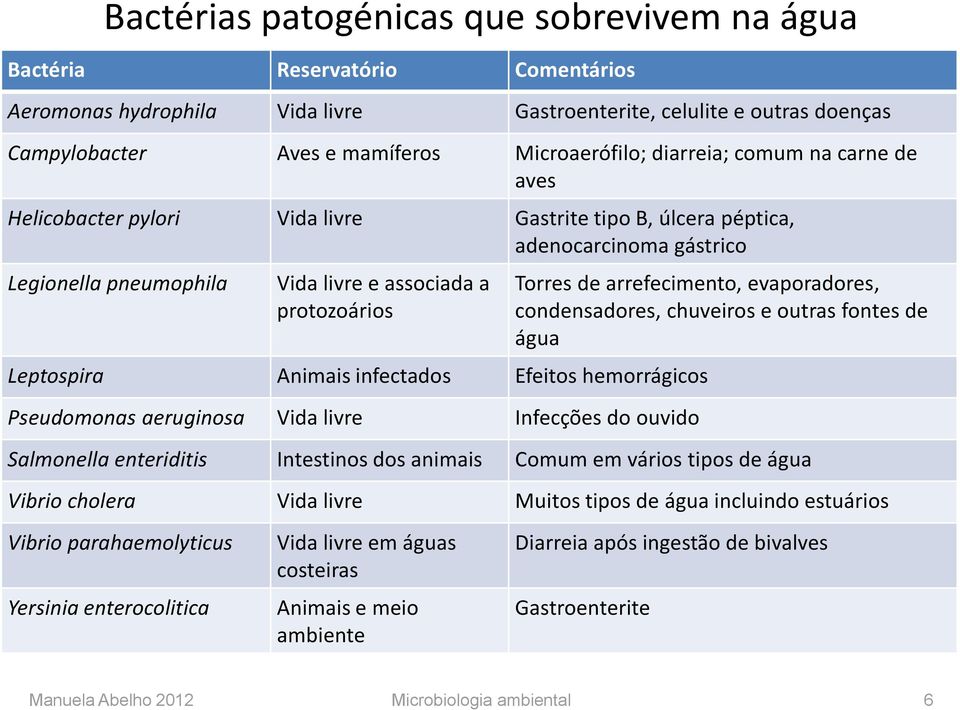 Animais infectados Efeitos hemorrágicos Pseudomonas aeruginosa Vida livre Infecções do ouvido Torres de arrefecimento, evaporadores, condensadores, chuveiros e outras fontes de água Salmonella