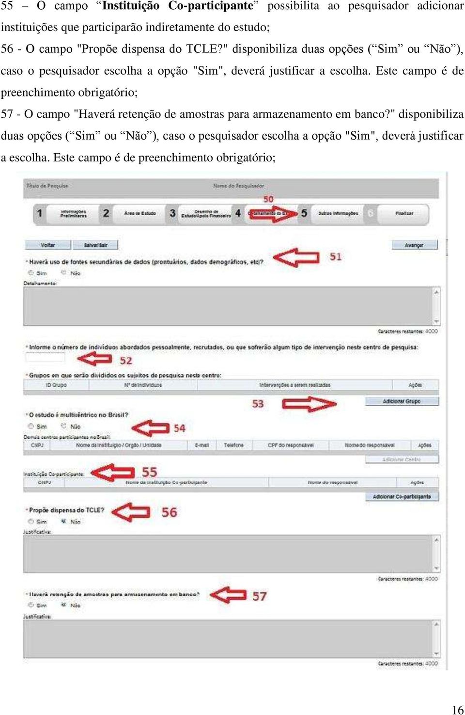 " disponibiliza duas opções ( Sim ou Não ), caso o pesquisador escolha a opção "Sim", deverá justificar a escolha.