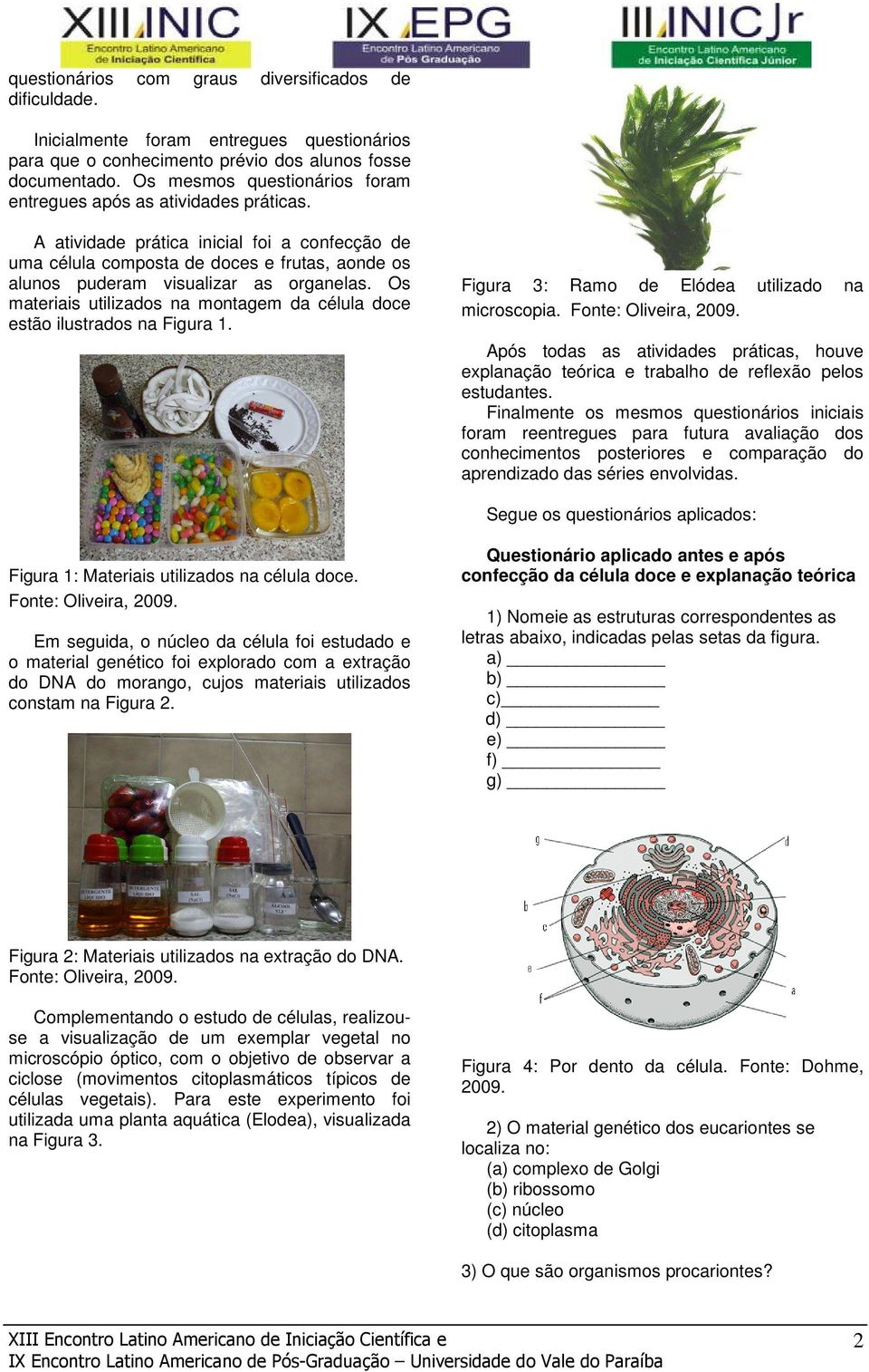 A atividade prática inicial foi a confecção de uma célula composta de doces e frutas, aonde os alunos puderam visualizar as organelas.