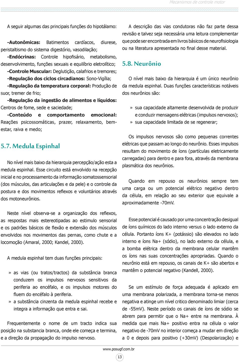 Produção de suor, tremer de frio; -Regulação da ingestão de alimentos e líquidos: Centros de fome, sede e saciedade; -Conteúdo e comportamento emocional: Reações psicossomáticas, prazer, relaxamento,