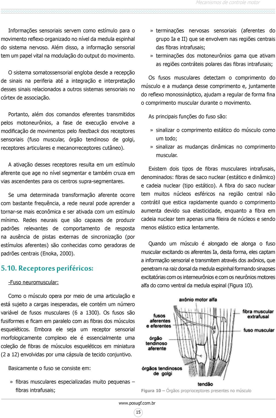 O sistema somatossensorial engloba desde a recepção de sinais na periferia até a integração e interpretação desses sinais relacionados a outros sistemas sensoriais no córtex de associação.