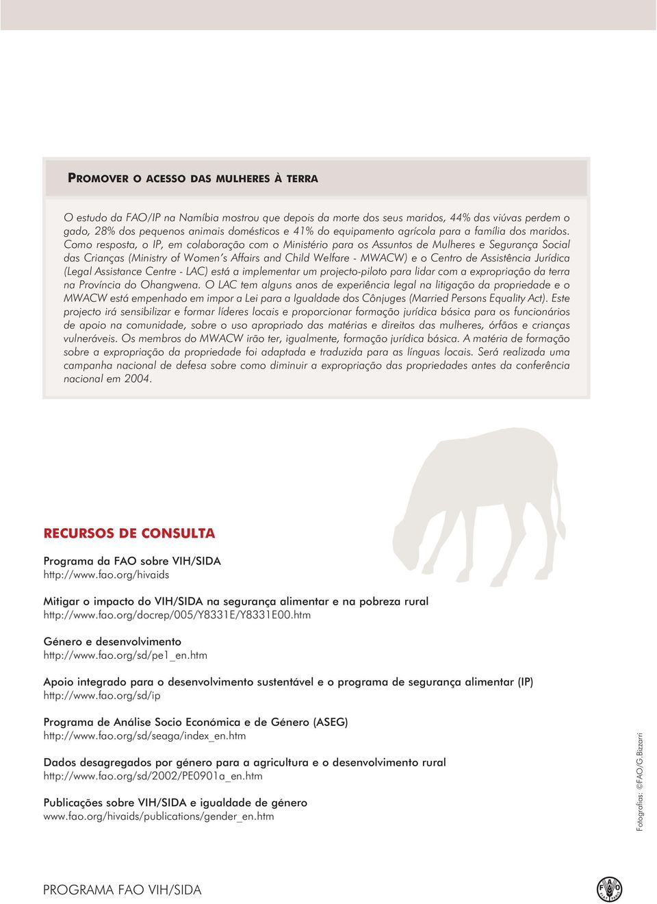 Como resposta, o IP, em colaboração com o Ministério para os Assuntos de Mulheres e Segurança Social das Crianças (Ministry of Women s Affairs and Child Welfare - MWACW) e o Centro de Assistência