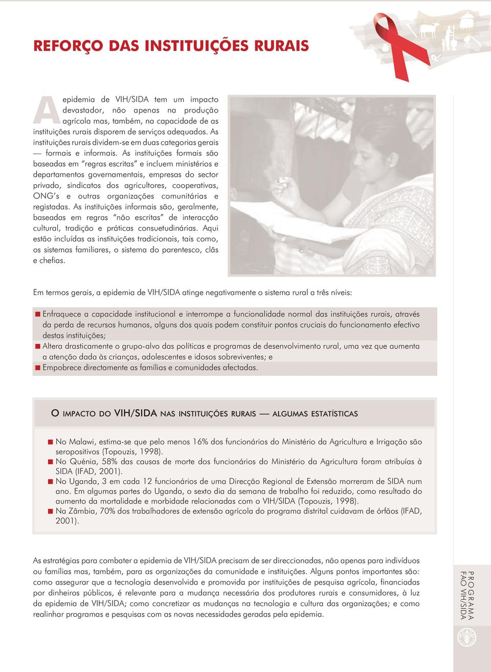 As instituições formais são baseadas em regras escritas e incluem ministérios e departamentos governamentais, empresas do sector privado, sindicatos dos agricultores, cooperativas, ONG s e outras