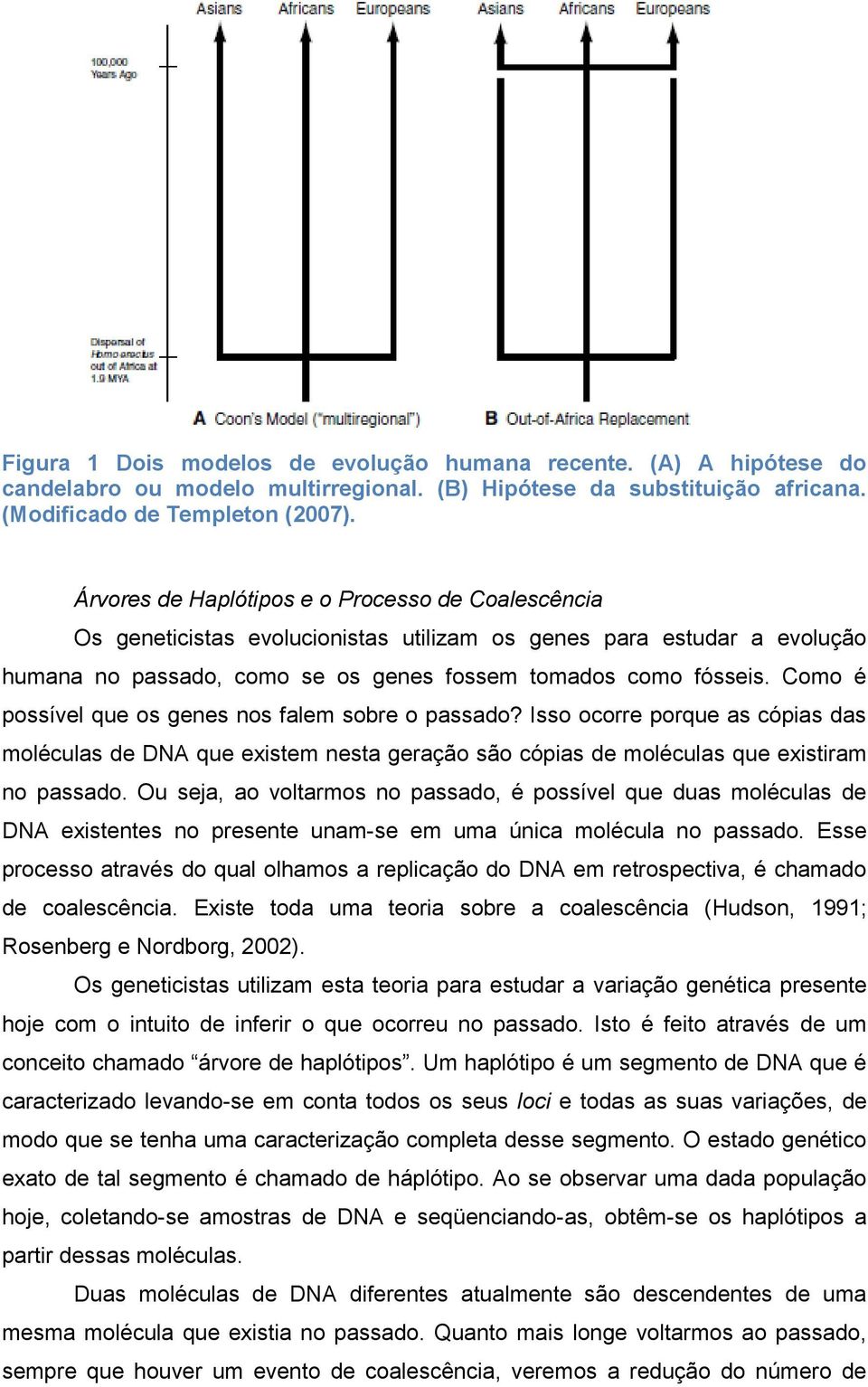 Como é possível que os genes nos falem sobre o passado? Isso ocorre porque as cópias das moléculas de DNA que existem nesta geração são cópias de moléculas que existiram no passado.