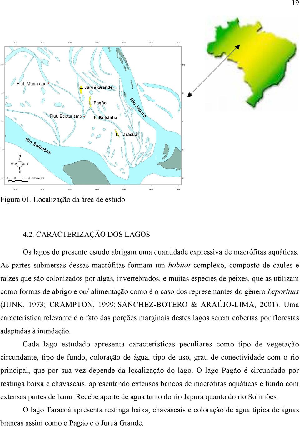 abrigo e ou/ alimentação como é o caso dos representantes do gênero Leporinus (JUNK, 1973; CRAMPTON, 1999; SÁNCHEZ-BOTERO & ARAÚJO-LIMA, 2001).