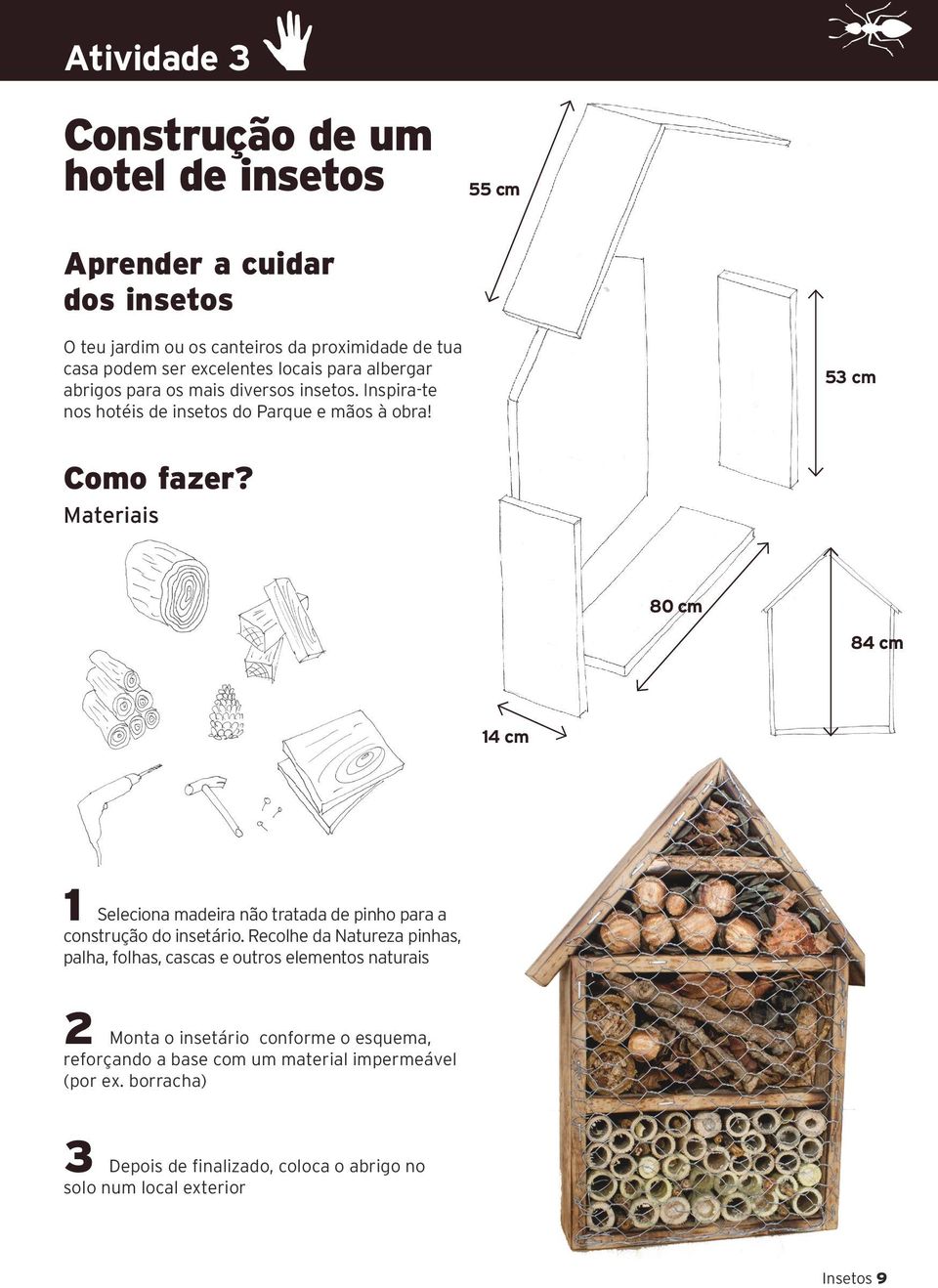 Materiais 80 cm 84 cm 14 cm 1 Seleciona madeira não tratada de pinho para a construção do insetário.