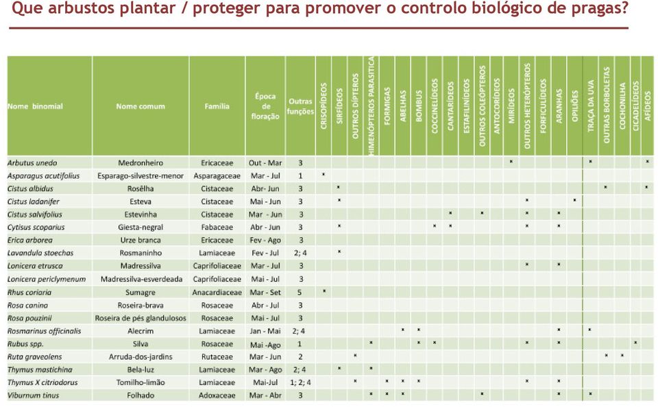 para promover o