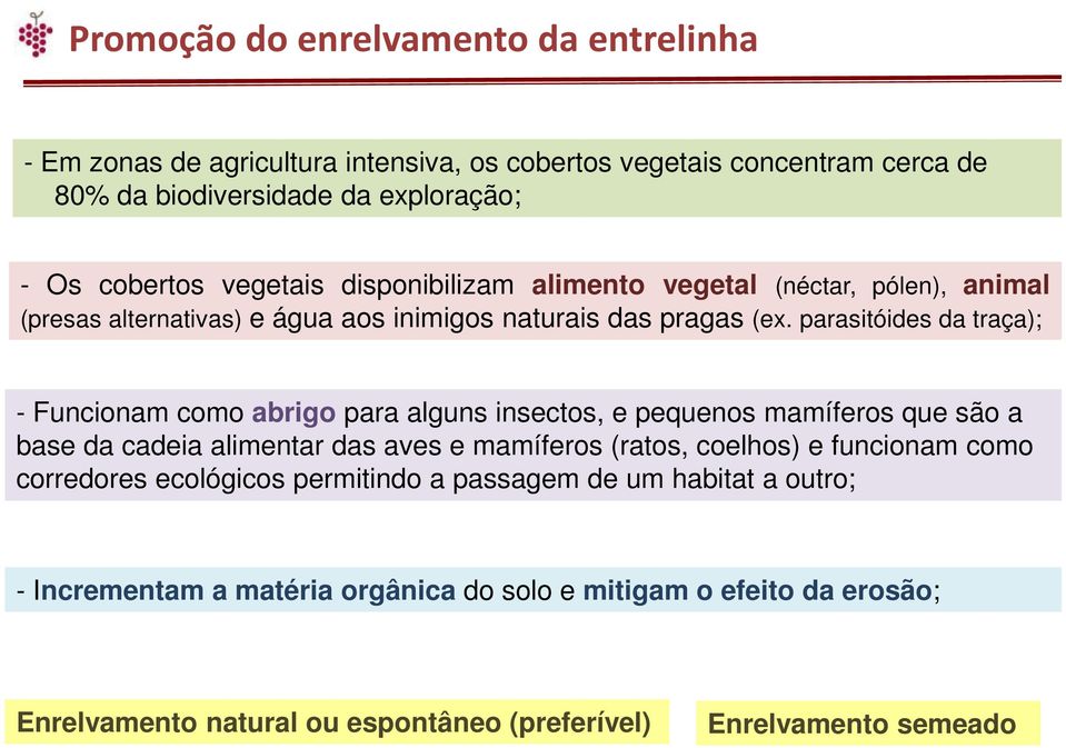 parasitóides da traça); - Funcionam como abrigo para alguns insectos, e pequenos mamíferos que são a base da cadeia alimentar das aves e mamíferos (ratos, coelhos) e