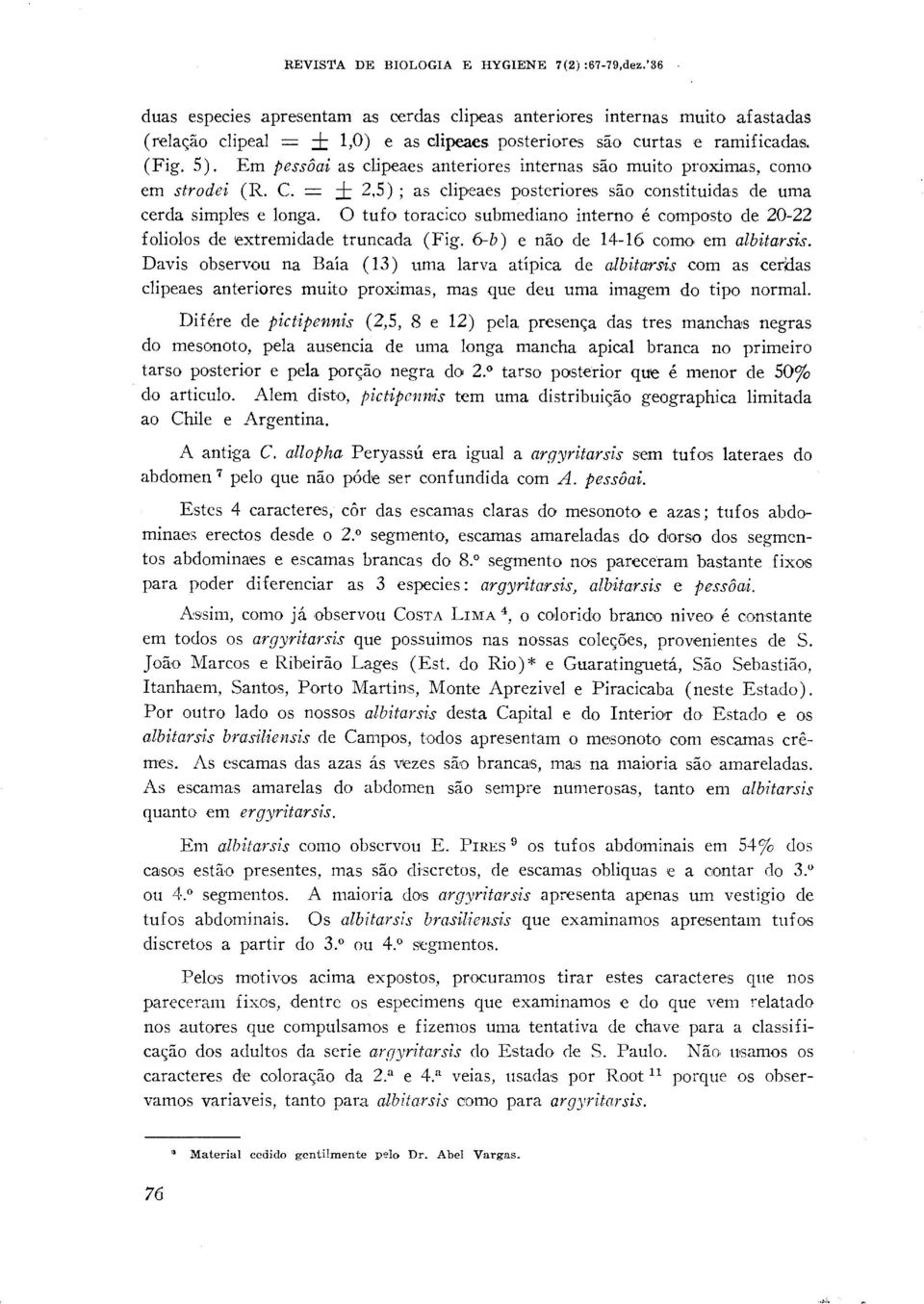 Em pess6ai as clipeaes anteriores internas sso muito pro,ximas9 como em strodei (R. C. = k 2,5) ; as clipeaes posteriores s?io constituidas de uma cerda simples e longa.