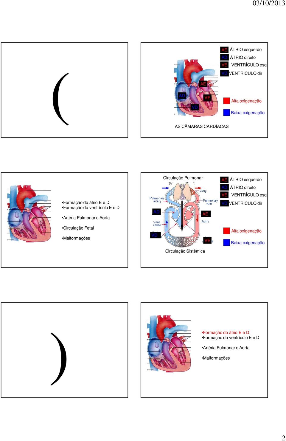 esquerdo AD ÁTRIO direito VE VENTRÍCULO esq AD AE VD VENTRÍCULO dir Circulação Fetal