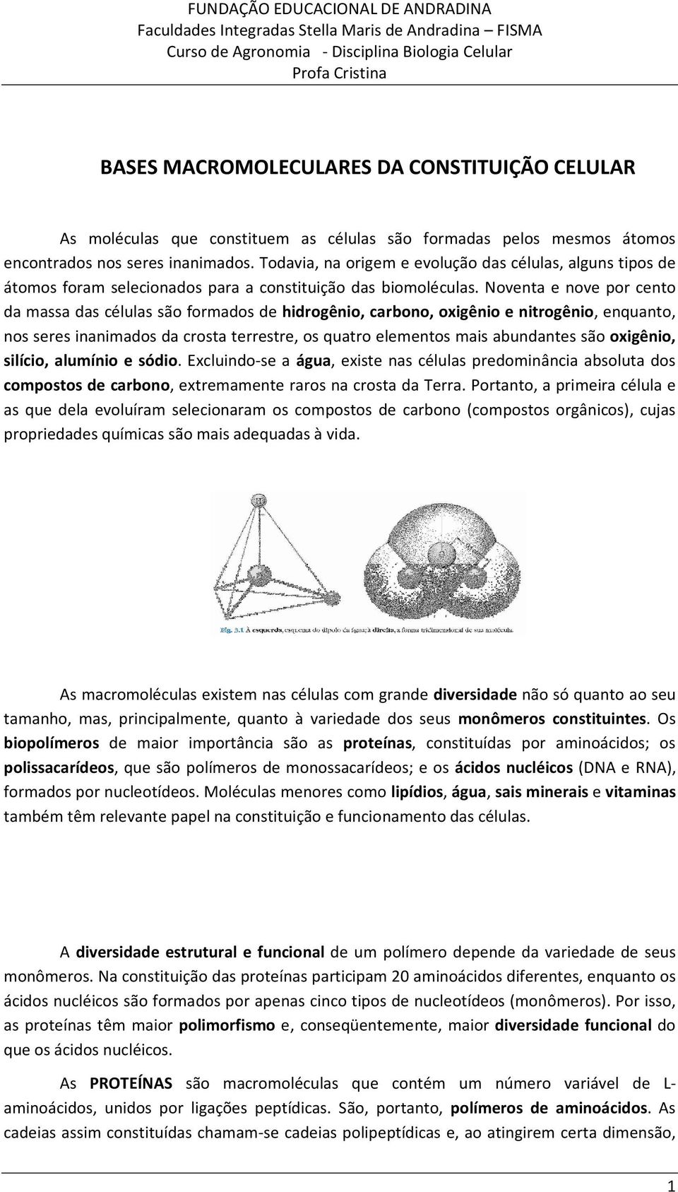 Noventa e nove por cento da massa das células são formados de hidrogênio, carbono, oxigênio e nitrogênio, enquanto, nos seres inanimados da crosta terrestre, os quatro elementos mais abundantes são