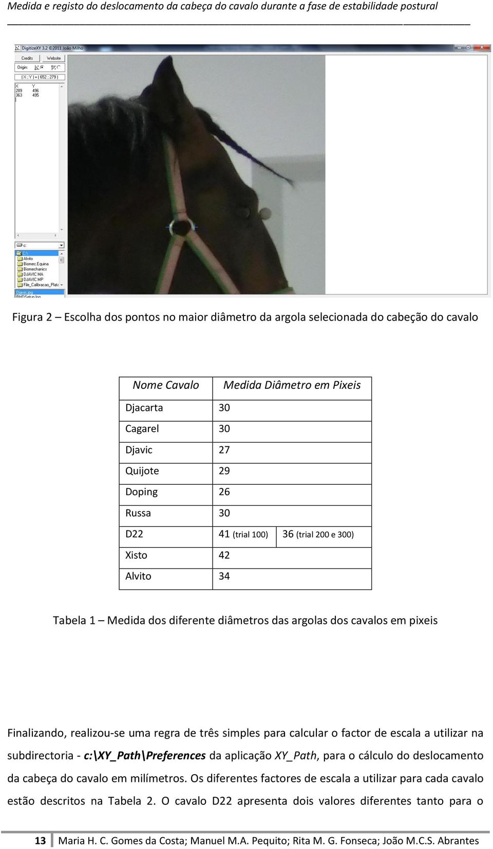 factor de escala a utilizar na subdirectoria - c:\xy_path\preferences da aplicação XY_Path, para o cálculo do deslocamento da cabeça do cavalo em milímetros.