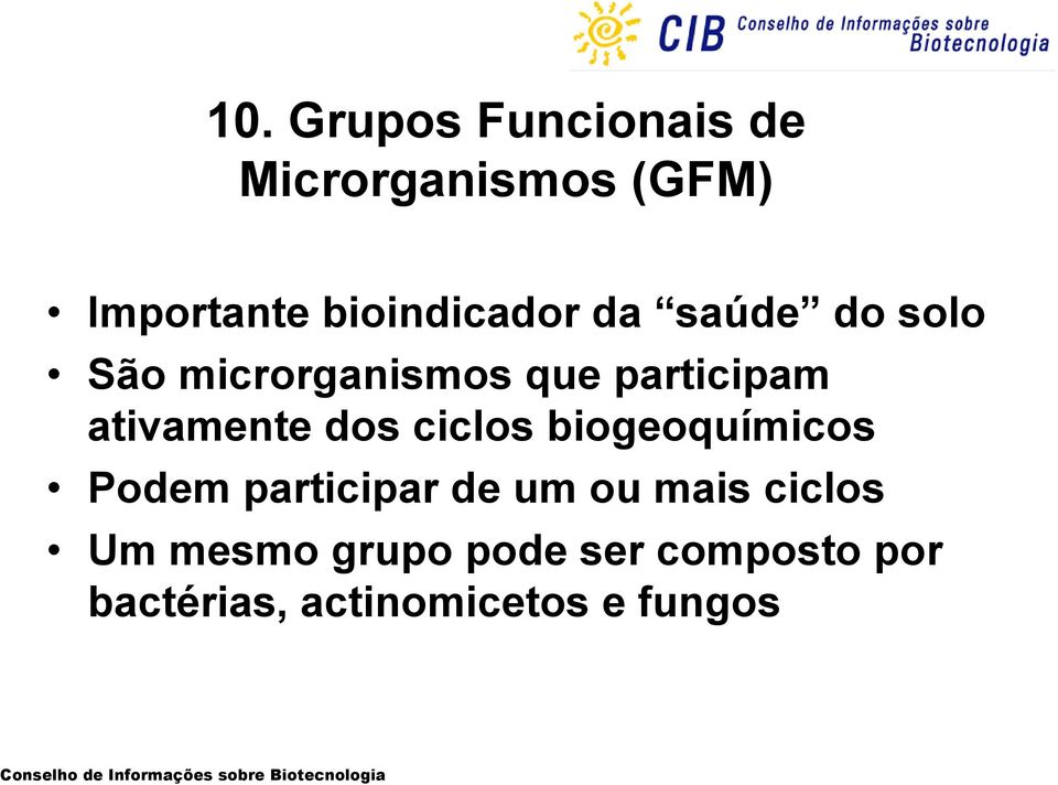 ativamente dos ciclos biogeoquímicos Podem participar de um ou