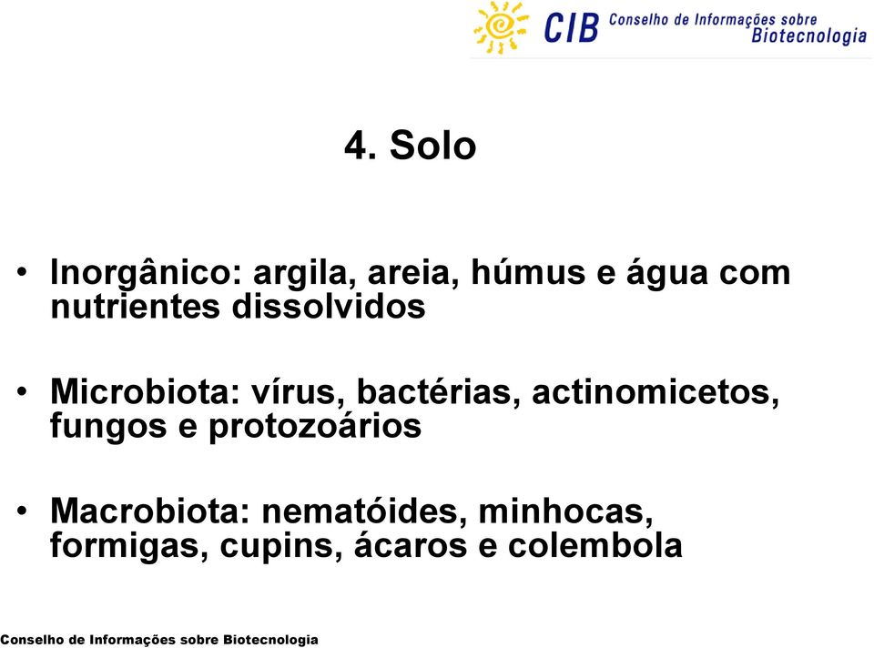 actinomicetos, fungos e protozoários Macrobiota: