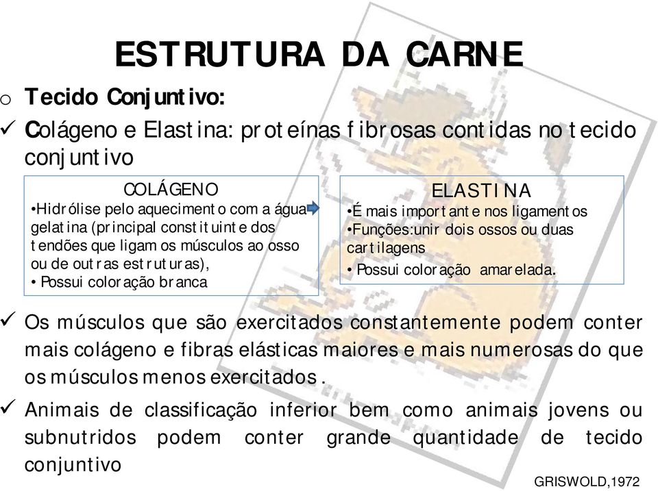 dois ossos ou duas cartilagens Possui coloração amarelada.