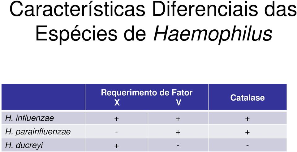 de Fator X V Catalase H.