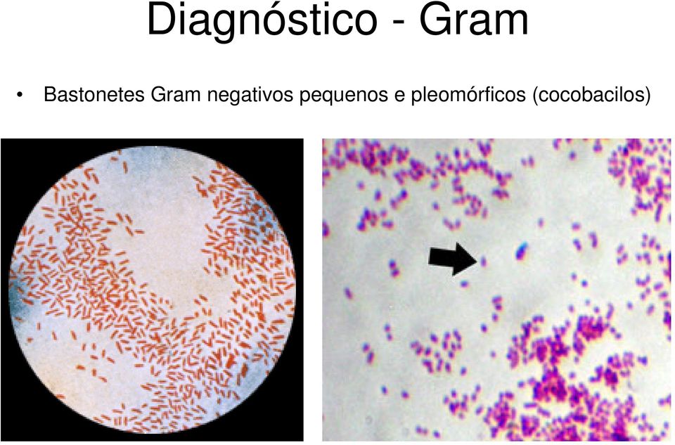 negativos pequenos e