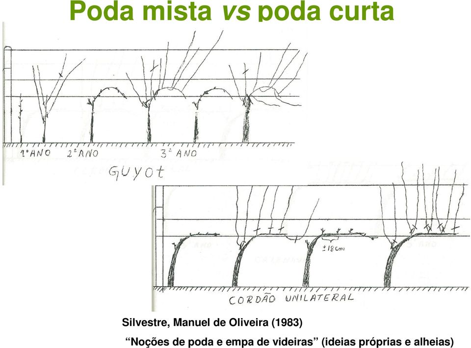 (1983) Noções de poda e empa