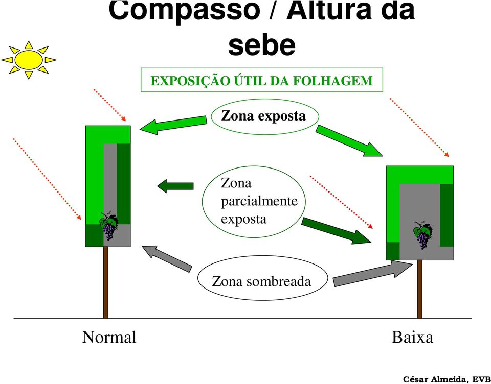 exposta Zona parcialmente exposta