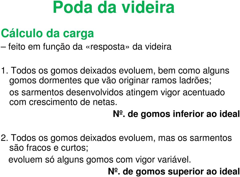 sarmentos desenvolvidos atingem vigor acentuado com crescimento de netas. Nº. de gomos inferior ao ideal 2.