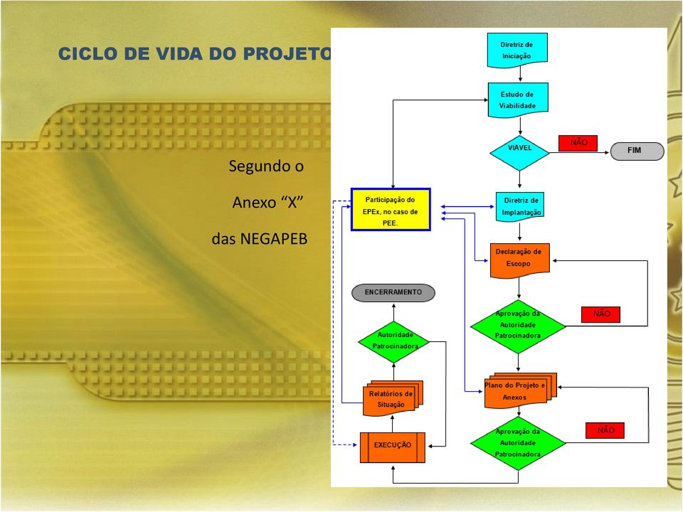 Segundo o