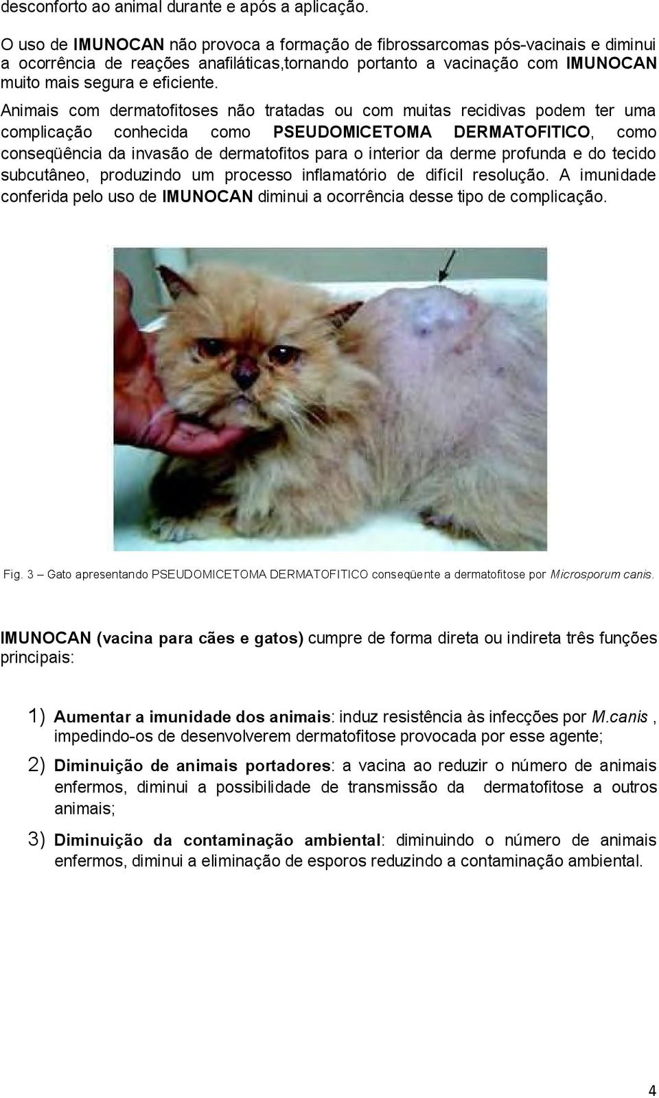 Animais com dermatofitoses não tratadas ou com muitas recidivas podem ter uma complicação conhecida como PSEUDOMICETOMA DERMATOFITICO, como conseqüência da invasão de dermatofitos para o interior da