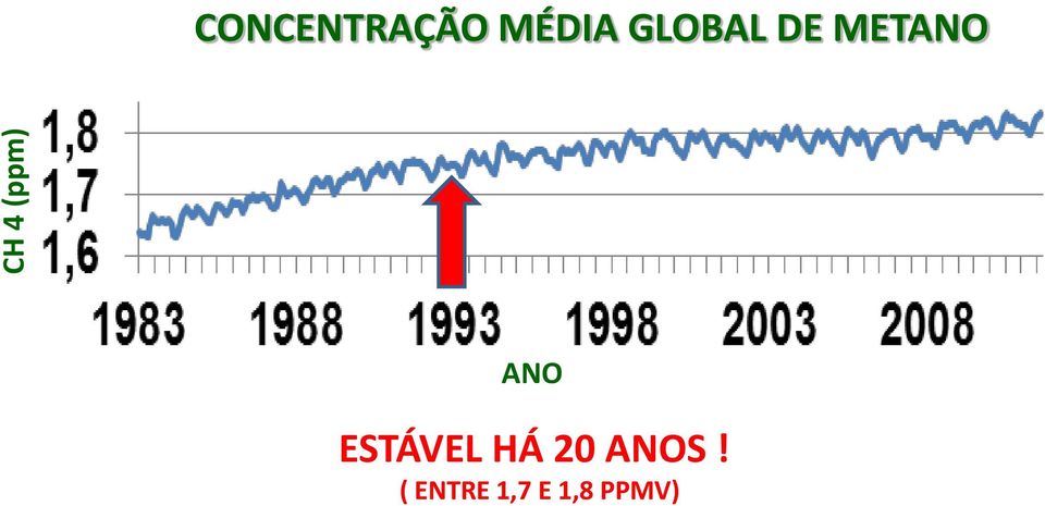 ANO ESTÁVEL HÁ 20 ANOS!