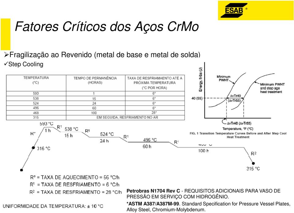 PARA VASO DE PRESSÃO EM SERVIÇO COM HIDROGÊNIO. *ASTM A387/A387M-99.