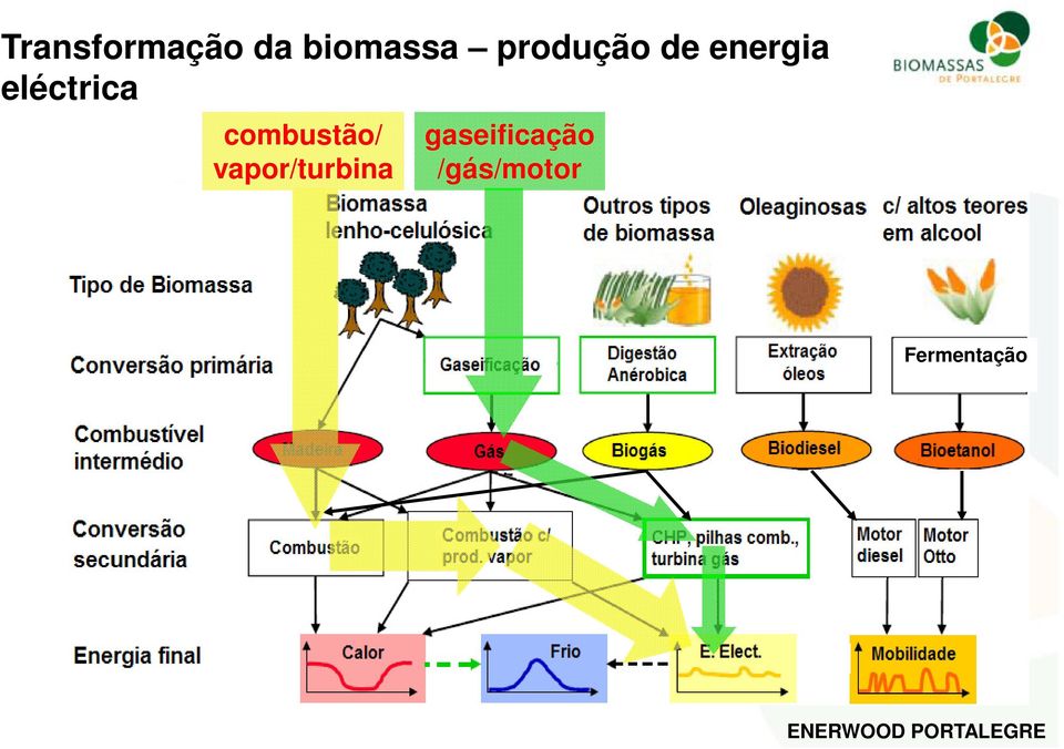 eléctrica combustão/