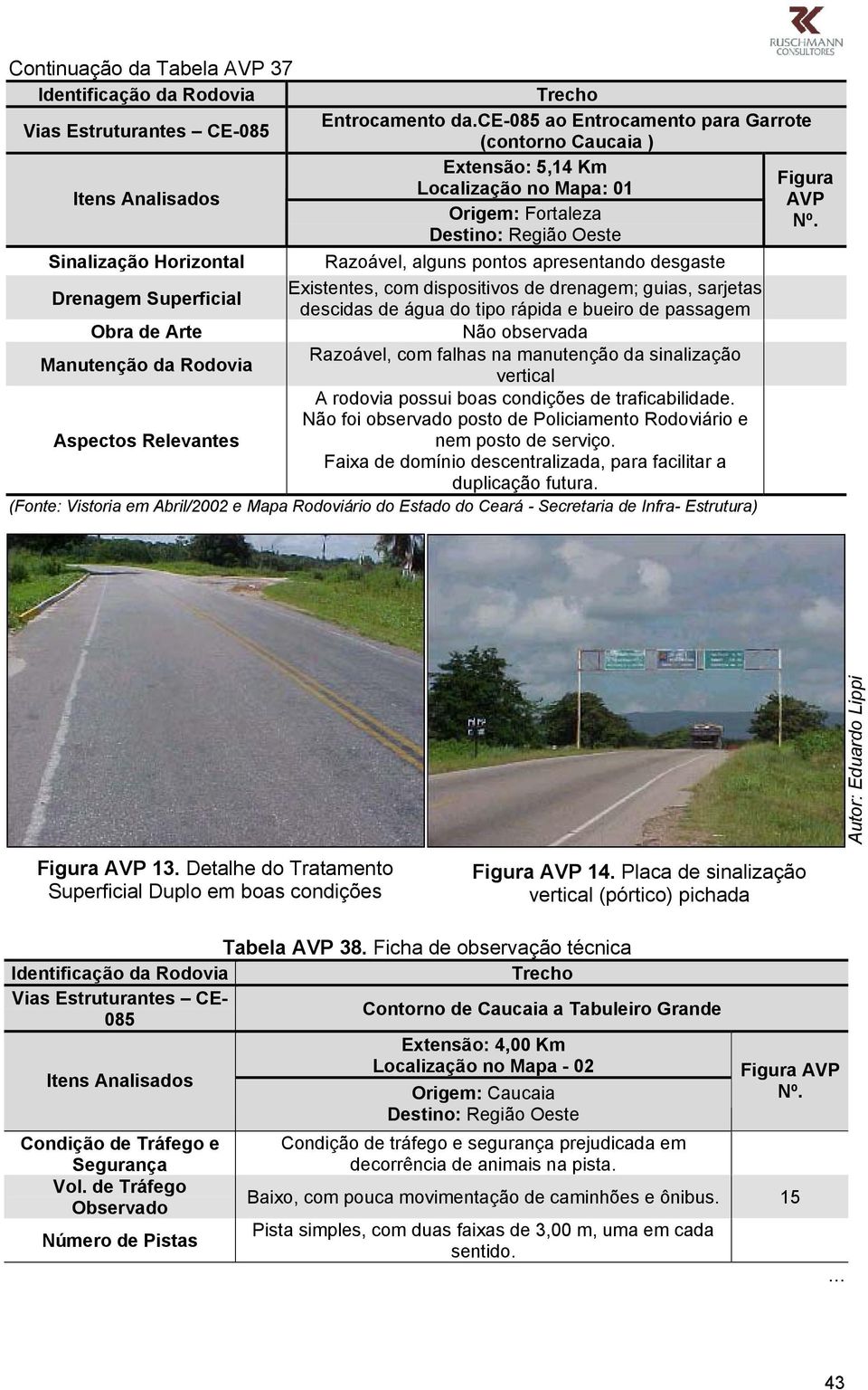 apresentando desgaste Existentes, com dispositivos de drenagem; guias, sarjetas descidas de água do tipo rápida e bueiro de passagem Não observada Razoável, com falhas na manutenção da sinalização