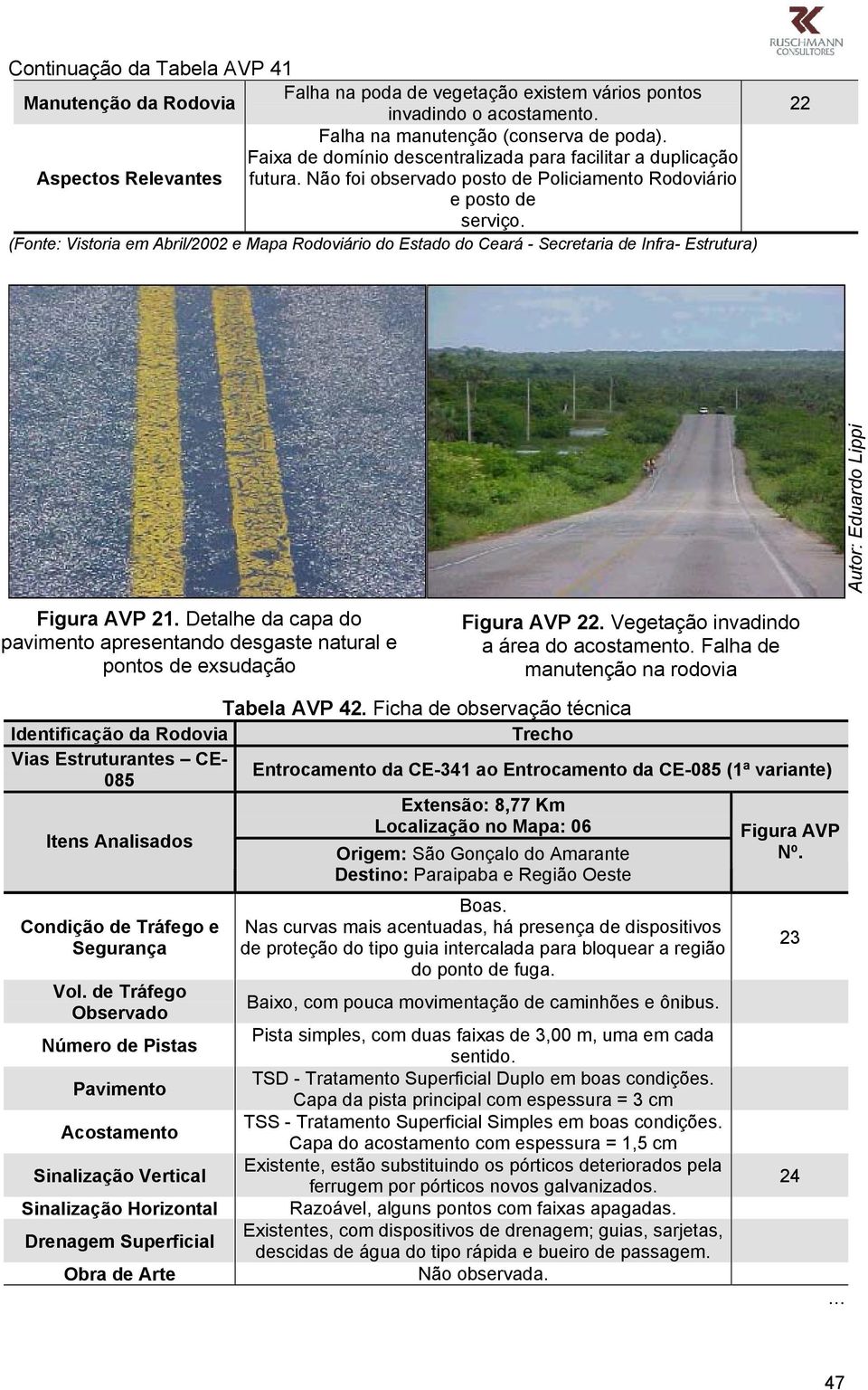 (Fonte: Vistoria em Abril/2002 e Mapa Rodoviário do Estado do Ceará - Secretaria de Infra- Estrutura) 22 Autor: Eduardo Lippi Figura AVP 21.
