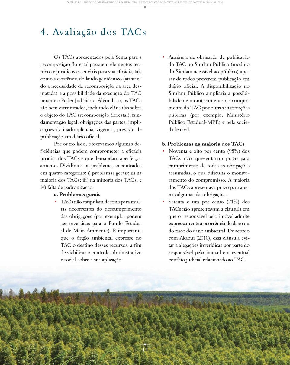 (atestando a necessidade da recomposição da área desmatada) e a possibilidade da execução do TAC perante o Poder Judiciário.