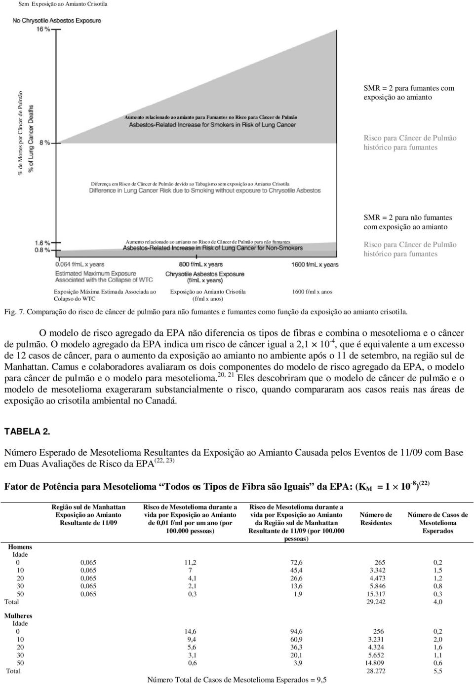 relacionado ao amianto no Risco de Câncer de Pulmão para não fumantes Risco para Câncer de Pulmão histórico para fumantes Exposição Máxima Estimada Associada ao Colapso do WTC Exposição ao Amianto