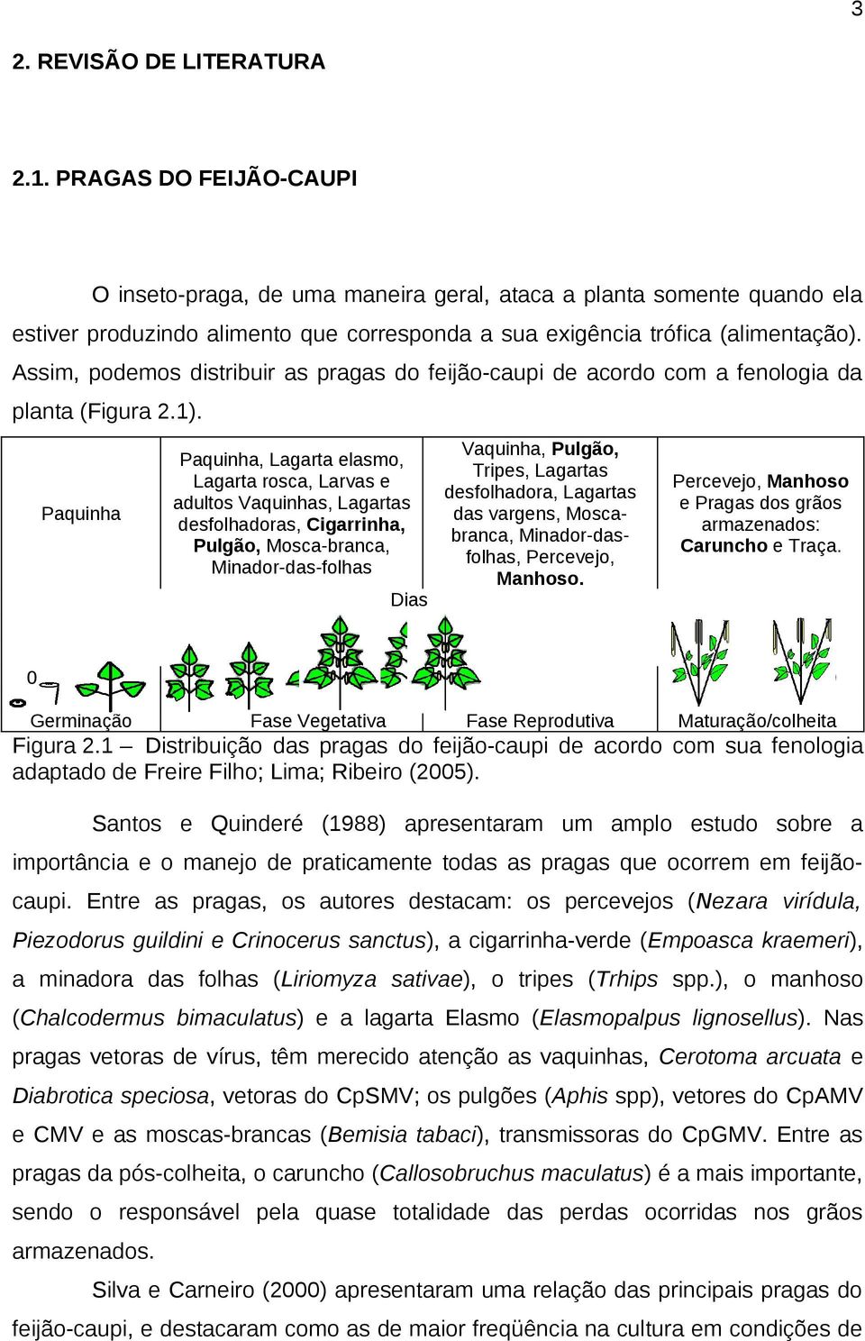 Assim, podemos distribuir as pragas do feijão-caupi de acordo com a fenologia da planta (Figura 2.1).