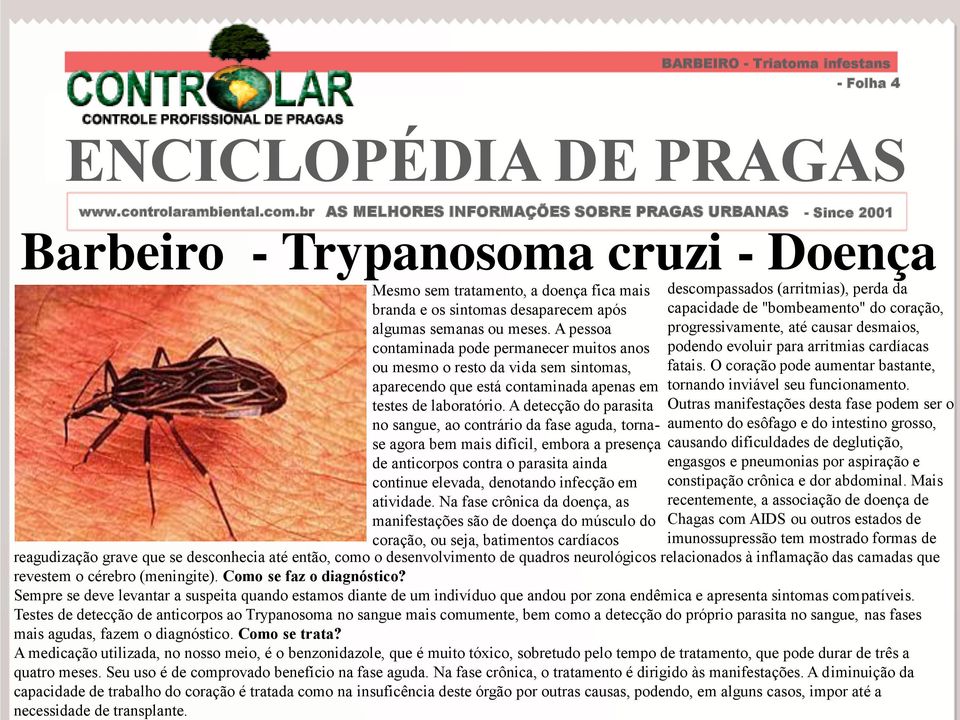 A detecção do parasita no sangue, ao contrário da fase aguda, tornase agora bem mais difícil, embora a presença de anticorpos contra o parasita ainda continue elevada, denotando infecção em atividade.