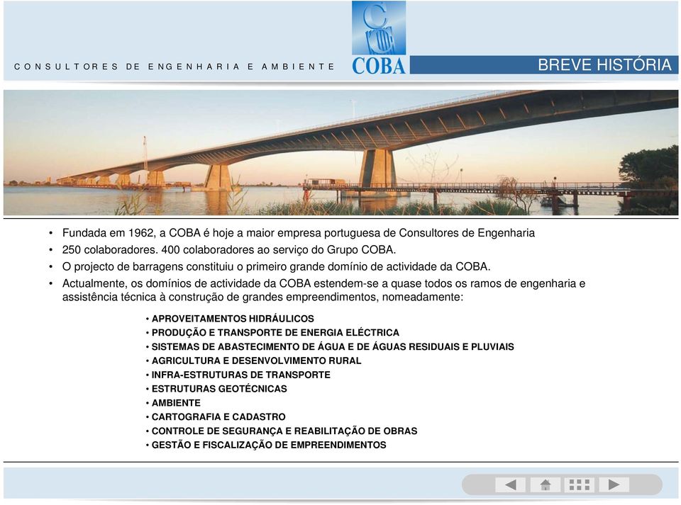 Actualmente, os domínios de actividade da COBA estendem-se a quase todos os ramos de engenharia e assistência técnica à construção de grandes empreendimentos, nomeadamente: HIDRÁULICOS