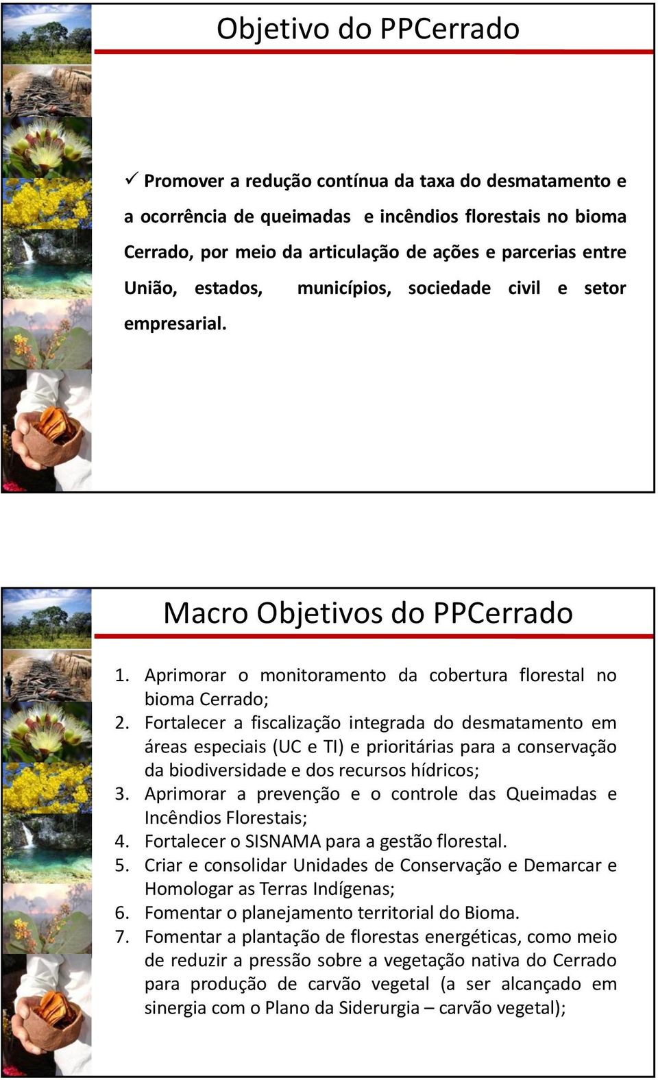 Fortalecer a fiscalização integrada do desmatamento em áreas especiais (UC e TI) e prioritárias para a conservação da biodiversidade e dos recursos hídricos; 3.