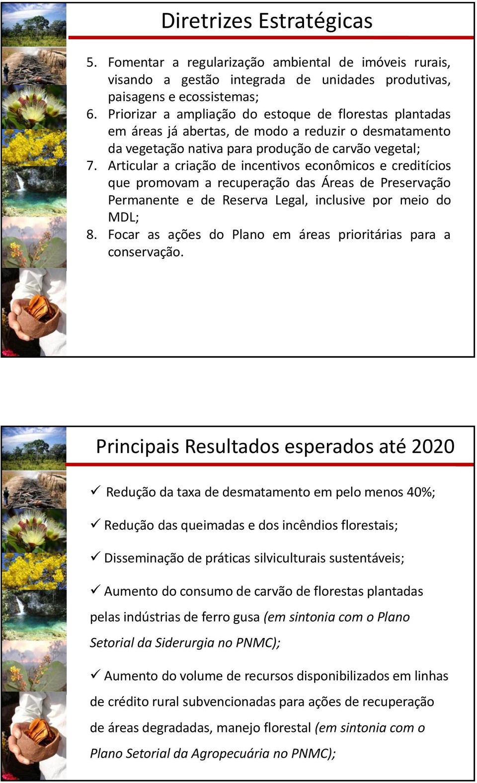 Articular a criação de incentivos econômicos e creditícios que promovam a recuperação das Áreas de Preservação Permanente e de Reserva Legal, inclusive por meio do MDL; 8.