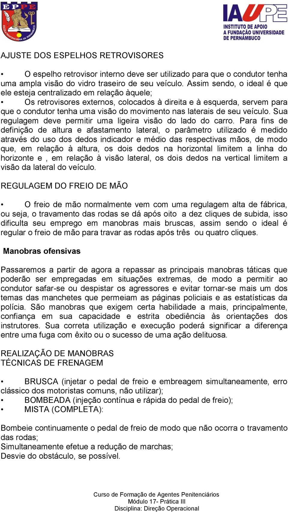 de seu veículo. Sua regulagem deve permitir uma ligeira visão do lado do carro.